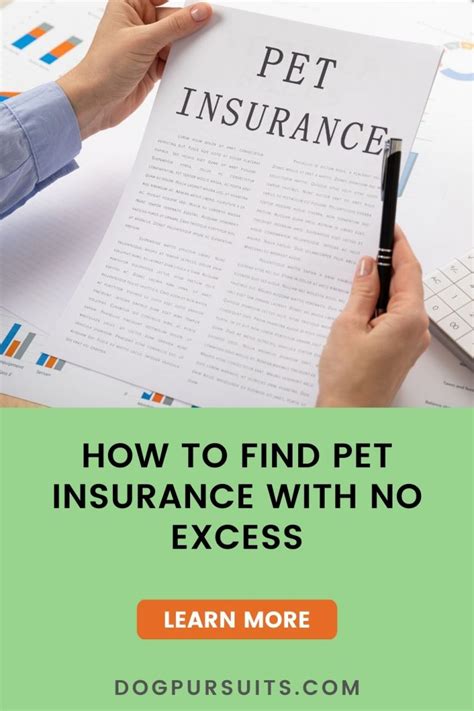 pet insurance no excess fee